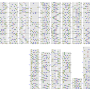 遊戯大熊猫_ex.png