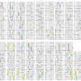get_wild_upper_ex.png