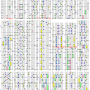 hip_rock_4_upper_ex.png