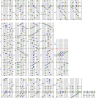 progretango_h_fix2.png