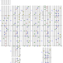 rolling_survivor_hyper_.png