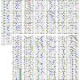 runic_air_ex_.png