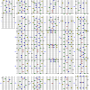 setsunatrip_ex_.png