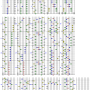 sign_of_collapse_ex_.png