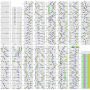timepiece_phase_ii_ex_half.png