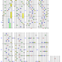 visterhv_ex_m_f.png